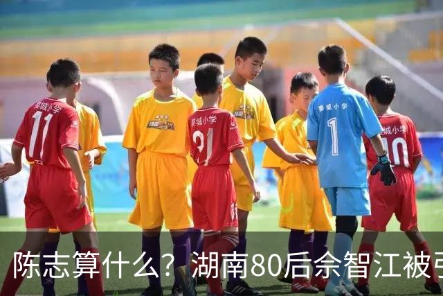 陈志算什么？湖南80后佘智江被引渡回国，涉案2.7万亿，全网哗然
