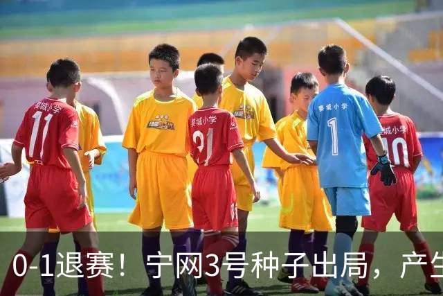 0-1退赛！宁网3号种子出局，产生连锁反应：WTA总决赛最后1席决出
